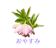 857610554