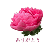 857610556
