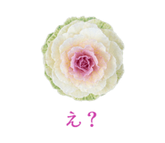 857610558