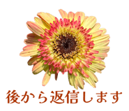 857610568