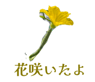 857610569