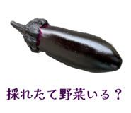 857610572