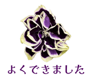 857610576