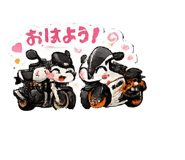 857611177