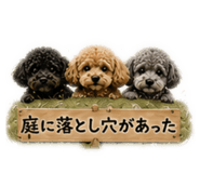 857611491