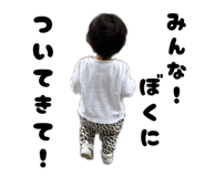 857611534