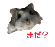 857611608