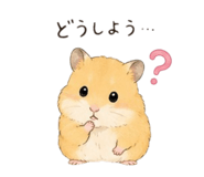 857611631