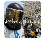 857611693