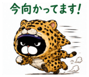 857611797
