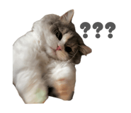 857612289