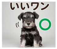 857612595