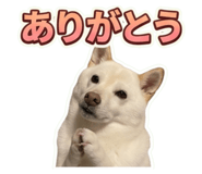 857612721