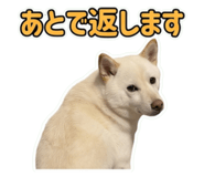 857612723
