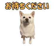 857612724