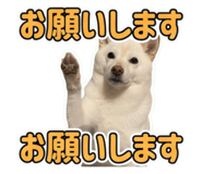 857612726