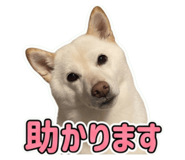 857612728