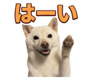 857612734