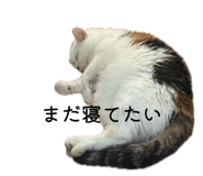 857612811