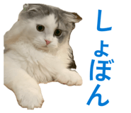 857613160