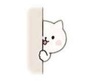 857613197