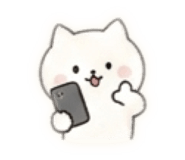 857613205