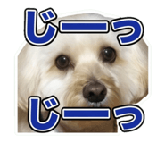 857613543
