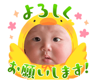 857613637