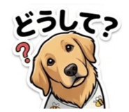 857613787