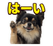 857613837
