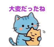 857623555