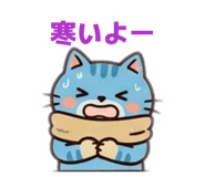 857623560