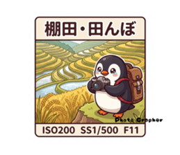 857644067