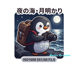 857644084