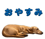 857665580