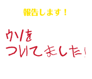 857666517