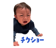 857666781