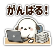 857667091