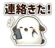 857667093
