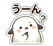 857667116