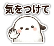 857667119