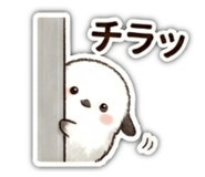 857667127