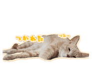 857667795