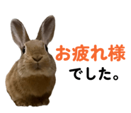 857667985