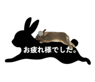 857667986