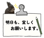 857667987