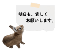 857667988