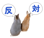857667999