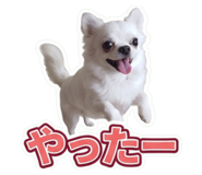 857668574