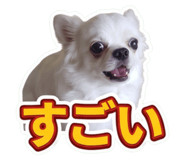 857668576
